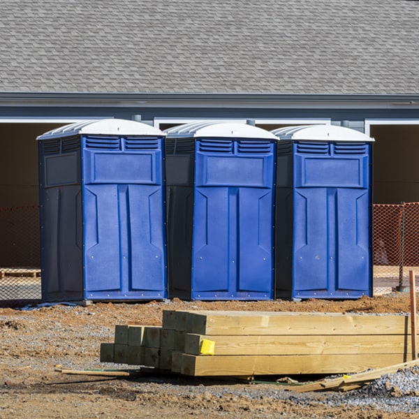 can i customize the exterior of the porta potties with my event logo or branding in Wytheville